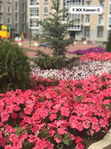 Фотографии Апартаменты Однокомнатная г. Нур-Султан (Казахстан) №2 Фото Апартаменты Однокомнатная г. Нур-Султан 2
