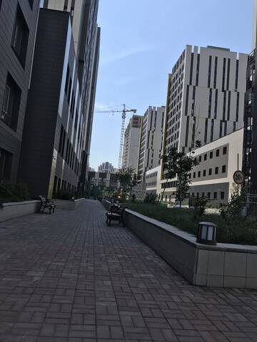 Фотографии Апартаменты Korkem 3 near botanical garden г. Нур-Султан (Казахстан) №4 Фото Апартаменты Korkem 3 near botanical garden г. Нур-Султан 4