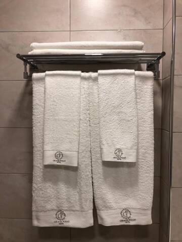 Фото номера Люкс с 1 спальней Отель Grace Point Hotel г. Нур-Султан 19