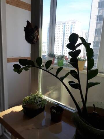 Фото номера Апартаменты с 1 спальней Апартаменты Tymar apartaments г. Нур-Султан 22