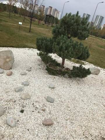 Фото номера Апартаменты с 1 спальней Апартаменты Korkem 3 near botanical garden г. Нур-Султан 65