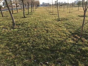 Фото номера Апартаменты с 1 спальней Апартаменты Korkem 3 near botanical garden г. Нур-Султан 64